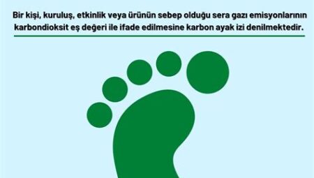 Biyokütle Enerjisi ve Sürdürülebilir Yakıtlar: Karbon Ayak İzi Azaltımı İçin Alternatifler