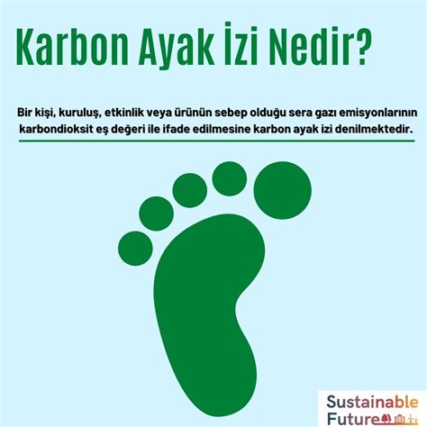 Biyokütle Enerjisi ve Sürdürülebilir Yakıtlar: Karbon Ayak İzi Azaltımı İçin Alternatifler